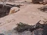 FOTOS: temporal gera deslizamentos e deixa famílias desabrigadas em SC