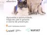 Uceff lança Campanha de Vacinação contra a Raiva