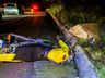Colisão deixa motociclista gravemente ferido na BR-282 em SMO; vídeo