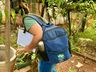 São Miguel do Oeste se aproxima de epidemia de dengue com 100 casos confirmados