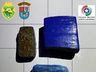 Homens são presos por tráfico de droga e direção perigosa