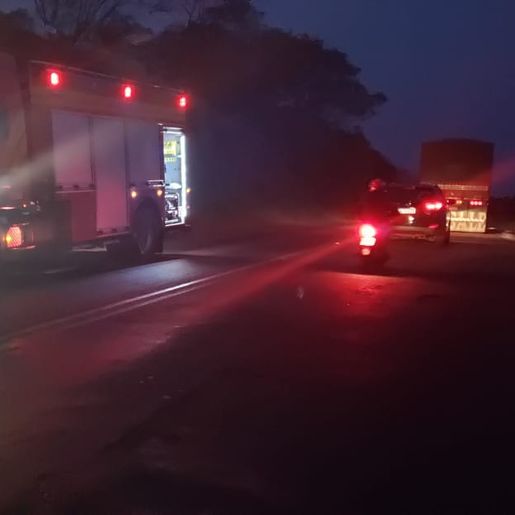 Bombeiros de São Jose do Cedro atendem dois incêndios em vegetação