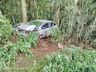 Saída de pista e colisão em árvore deixa um ferido na BR 282