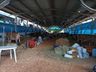Segundo dia de Itaipu Rural Show reúne palestras e networking em Pinhalzinho 