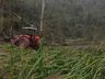 Temporal causa grandes prejuízos no interior de Itapiranga