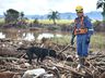 Bombeiros de Santa Catarina intensificam resgates no RS