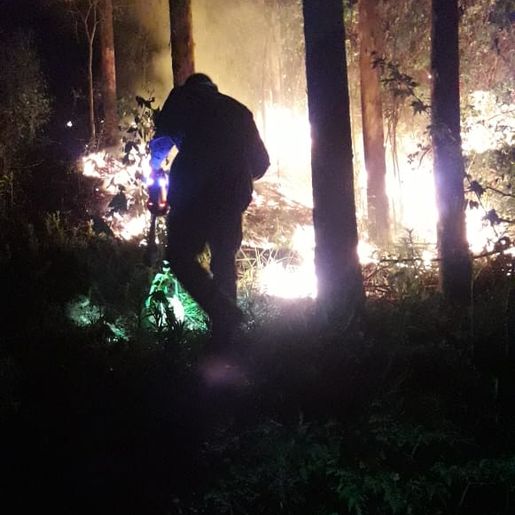 Incêndio volta atingir área de reflorestamento em São José do Cedro