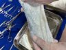 Curso de Medicina Veterinária da Uceff inova no implante de pele de Tilápia em Equino