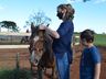 VÍDEO: Relação entre humanos e cavalos traz benefícios para o corpo e mente 