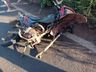 Servidor da prefeitura de Santa Terezinha do Progresso morre em acidente  na SC 492