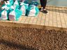 Lojas Pormenos e Grazziotin fazem doação de 150 cestas de alimentos