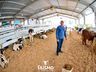 Confira fotos de domingo da maior feira multisetorial da região