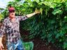 Ex-empresário do ramo frigorífico desempenha atividades com a produção de hortaliças