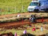 2ª etapa da Copa Oestina de Veloterra movimenta região; fotos