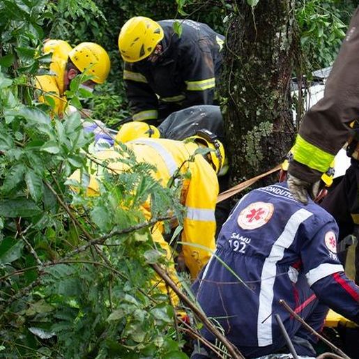 Homem sofre ferimentos graves após carro sair de pista e bater em árvore na BR-282