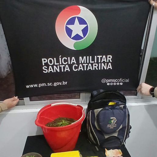 PM apreende 2 kg de maconha em operação na BR-163, em São José do Cedro
