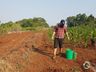 Zootecnista inicia projeto de agroflorestal em Itapiranga 