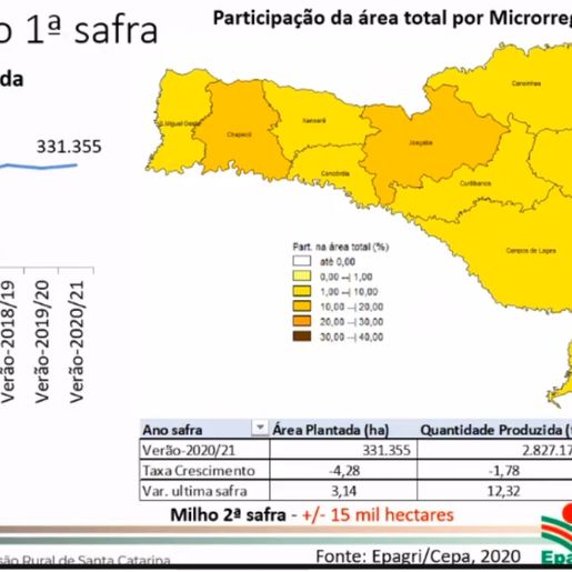 Epagri estima crescimento nas principais culturas de SC para a safra de verão 2020/21 