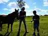 VÍDEO: Relação entre humanos e cavalos traz benefícios para o corpo e mente 