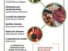 Semana do Meio Ambiente é comemorada com capacitações pela Epagri