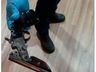 PM prende homem suspeito de atirar contra a esposa em SMOeste 