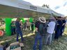 Epagri realiza Dia de Campo para apresentação da cultura de inverno