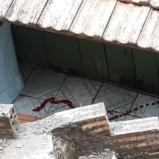 Marido atira contra companheira e outro homem e comete suicídio em Seara