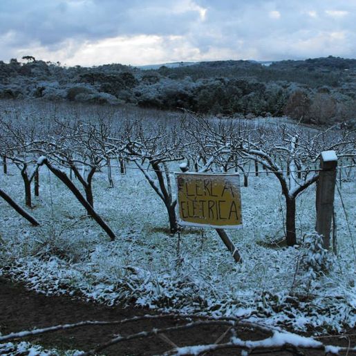 SC deve ter maior onda de frio extremo em 66 anos, com riscos de mortes e congelamentos