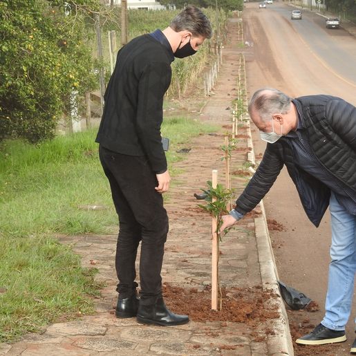 Programa de arborização vai beneficiar todos os bairros de SMOeste