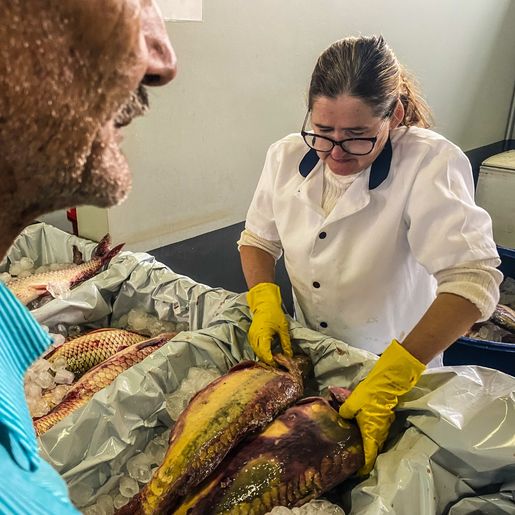 Venda de peixes supera expectativa na Feira Livre e atinge marca de nove toneladas
