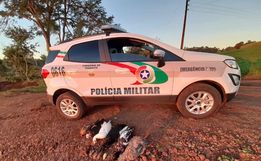 Vários animais são encontrados mortos no interior de Itapiranga