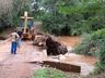 Chuva causa transtornos no interior de SJCedro