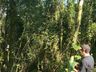 Conder Ambiental deve fechar 2023 com mais de 2,5 mil licenças emitidas