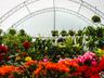 Central Flor, Floricultura e Paisagismo inaugura em São Miguel do Oeste
