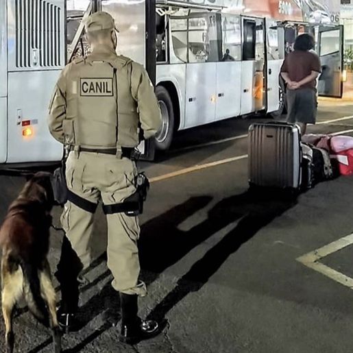 Fiscalização: Com retomada de linhas interestaduais PM realiza abordagens em ônibus 