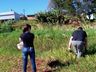 Dia Mundial da Limpeza é realizado pela JCI de São José do Cedro