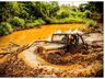Trilha inédita dos Tigres Off Road reuniu mais de 200 participantes