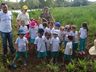 Alunos fazem visita ao Lago Municipal e participam de plantio de árvores em Cedro
