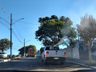 Regional da Saúde realiza ciclos de “fumacê” em São José do Cedro