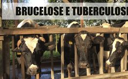 Cidasc amplia certificação de propriedades rurais