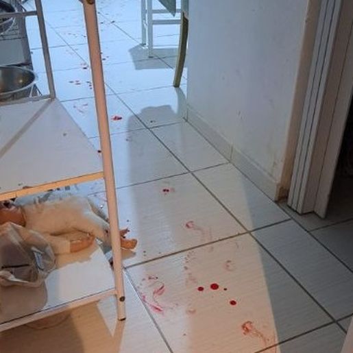 Padrasto que estuprou enteada de 13 anos e tentou matar a mãe é preso em SC