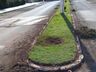 Urbanismo realiza embelezamento do canteiro com plantação de flores