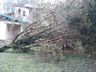 Temporal derruba árvores, alaga estradas e causa prejuízos no interior de SMOeste 
