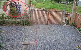VÍDEO: Charrete desgovernada invade casa em Santa Catarina