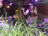Festival da Canção Alemã Municipal e Regional reúne 26 calouros; fotos