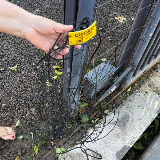 Motociclista sofre acidente depois de se enroscar em fios de fibra em SMO 