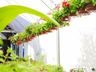 Central Flor, Floricultura e Paisagismo comemora 1 ano em São Miguel do Oeste