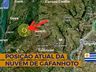 Nuvem de gafanhotos permanece na Argentina e se afasta da fronteira com o Brasil