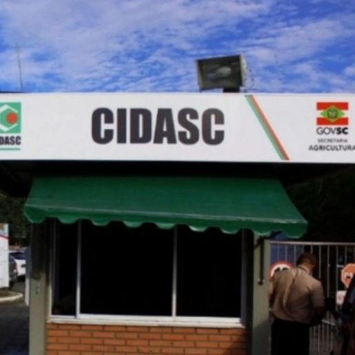 Cidasc abre concurso com 28 vagas e salários de até R$ 12,5 mil