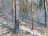 Incêndio de grandes proporções consome dez hectares de mata